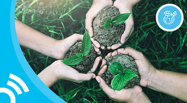 Sustainability